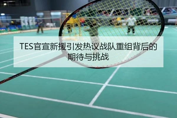 TES官宣新援引发热议战队重组背后的期待与挑战